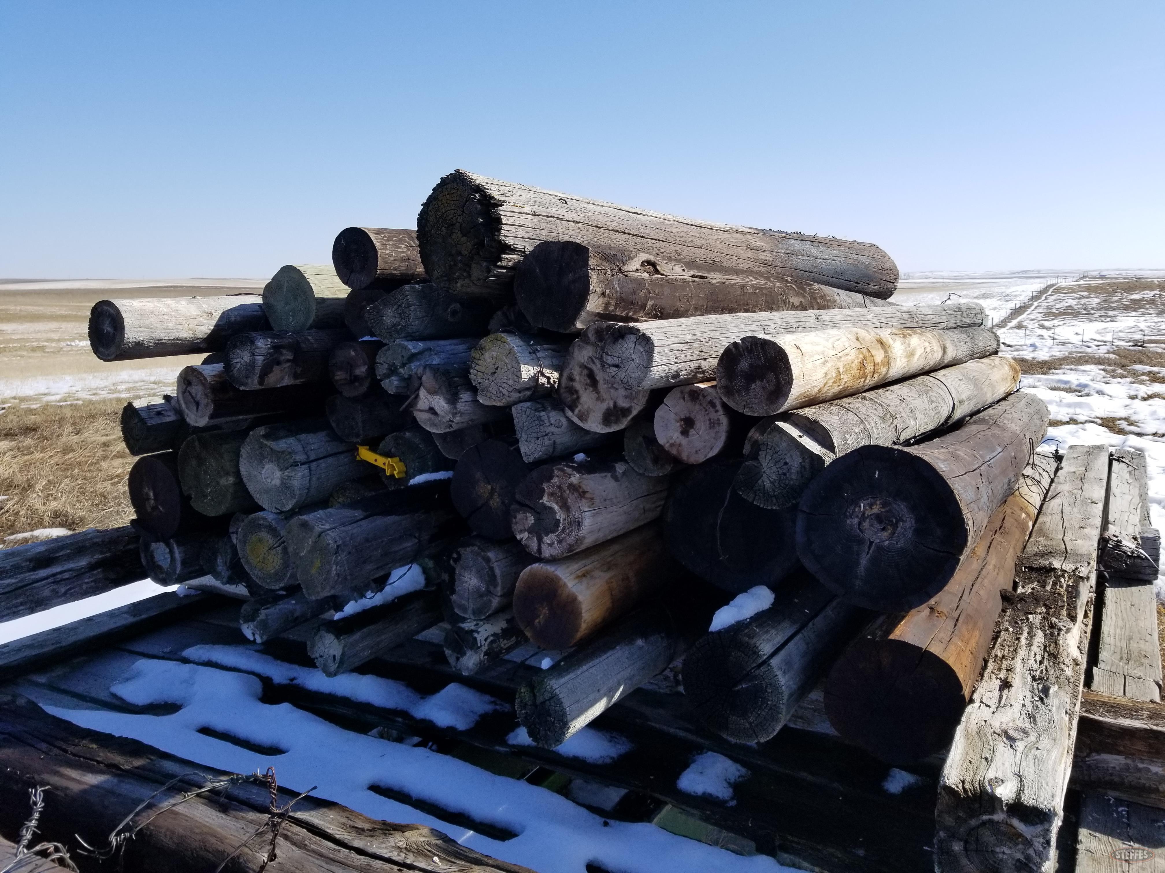 Approx. (50) wooden poles, 8'-10'